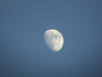 DSC00106